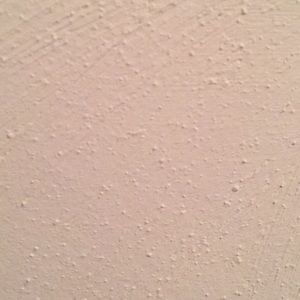 Meet your Posher, Anne